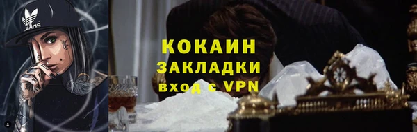 крисы Абаза