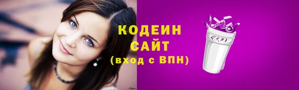 крисы Абаза