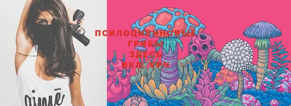 крисы Абаза