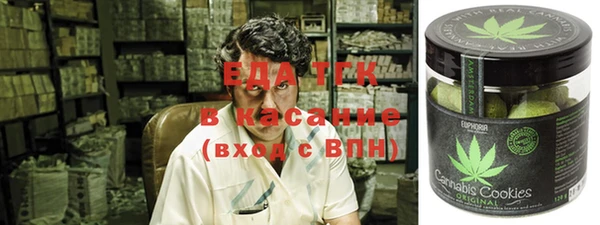крисы Абаза