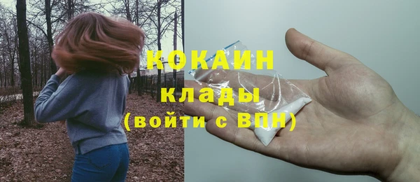крисы Абаза