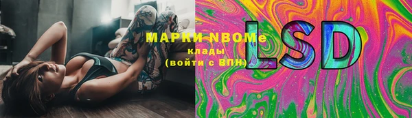 крисы Абаза