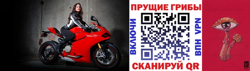 гидра рабочий сайт  Мегион  Галлюциногенные грибы Psilocybine cubensis 