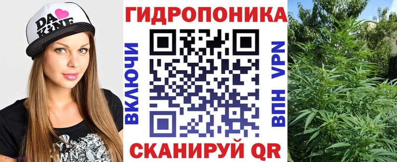 hydra онион  Мегион  Бошки Шишки гибрид 